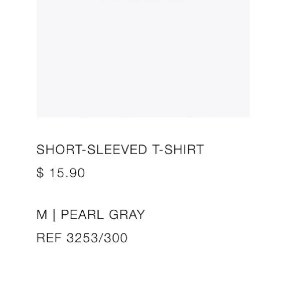 Zara Short-Sleeved T-Shirt in Pearl Grey size Medium - Picture 10 of 11